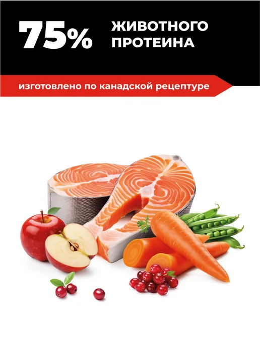 Сухой корм GO'KITCHEN для собак, беззерновой, щенки, лосось, 1,59 кг, фото 4