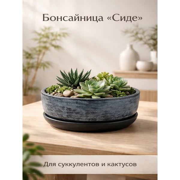 Керамический горшок «Сиде » для бонсай