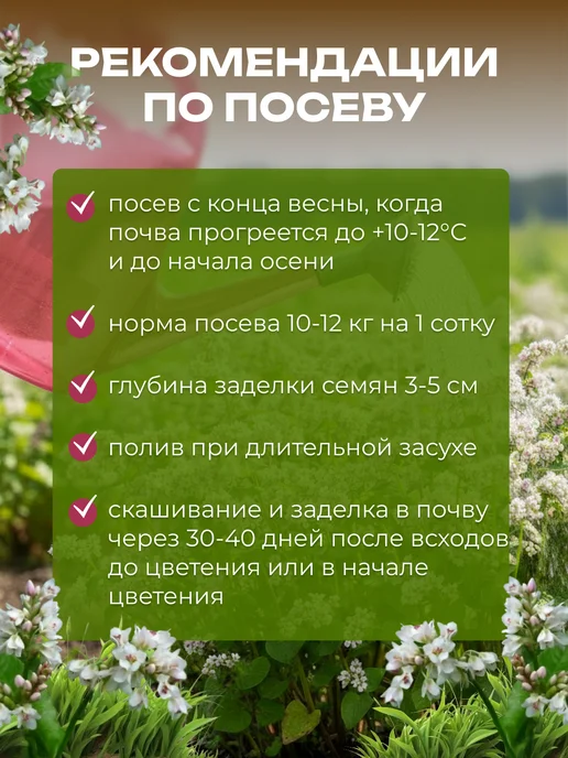 ЭКО ПОЛЕ Гречиха сидерат и медонос, семена для посева 5 кг, 5 кг, фото 2