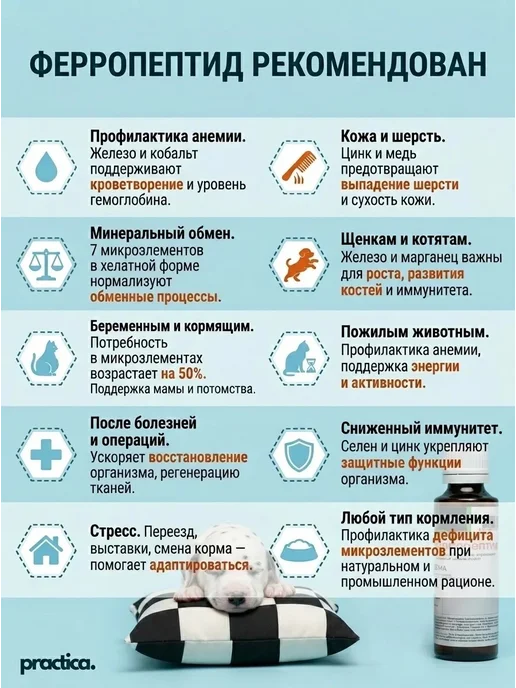 practica Витамины для кошек и собак всех возрастов, 50 мл, 50 мл, фото 5