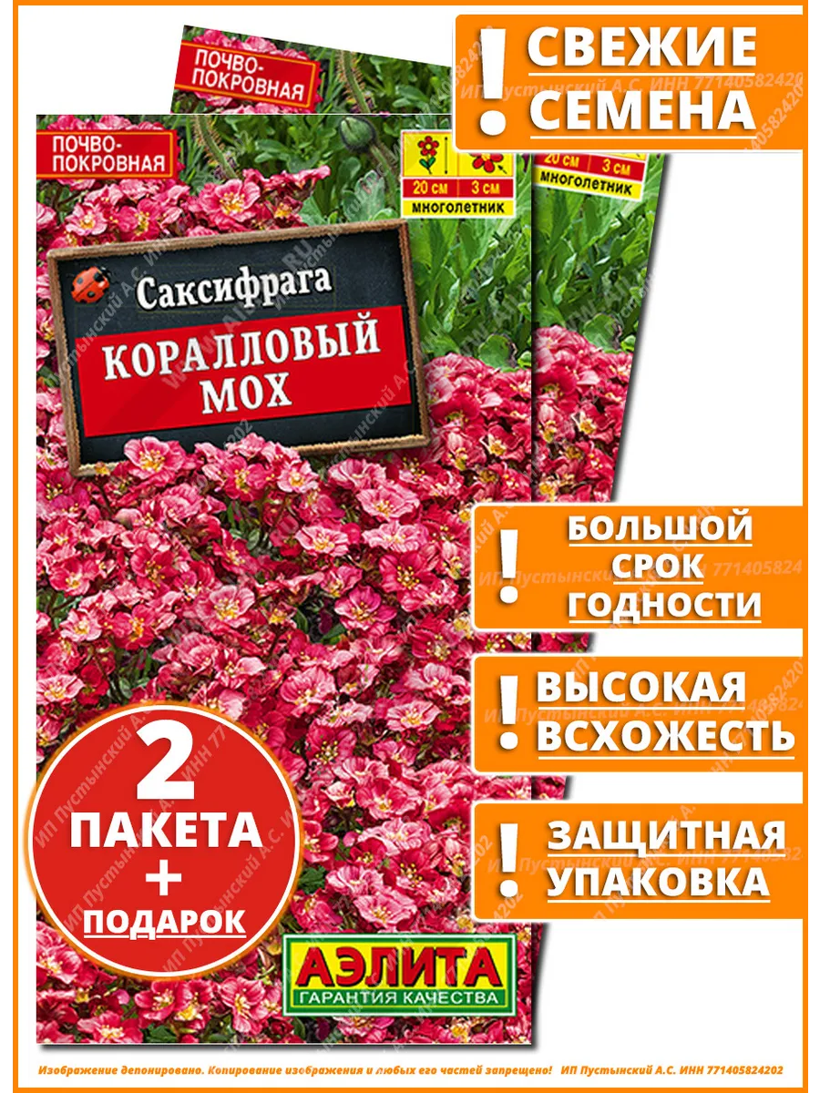 Семена саксифрага для сада дачи посадки