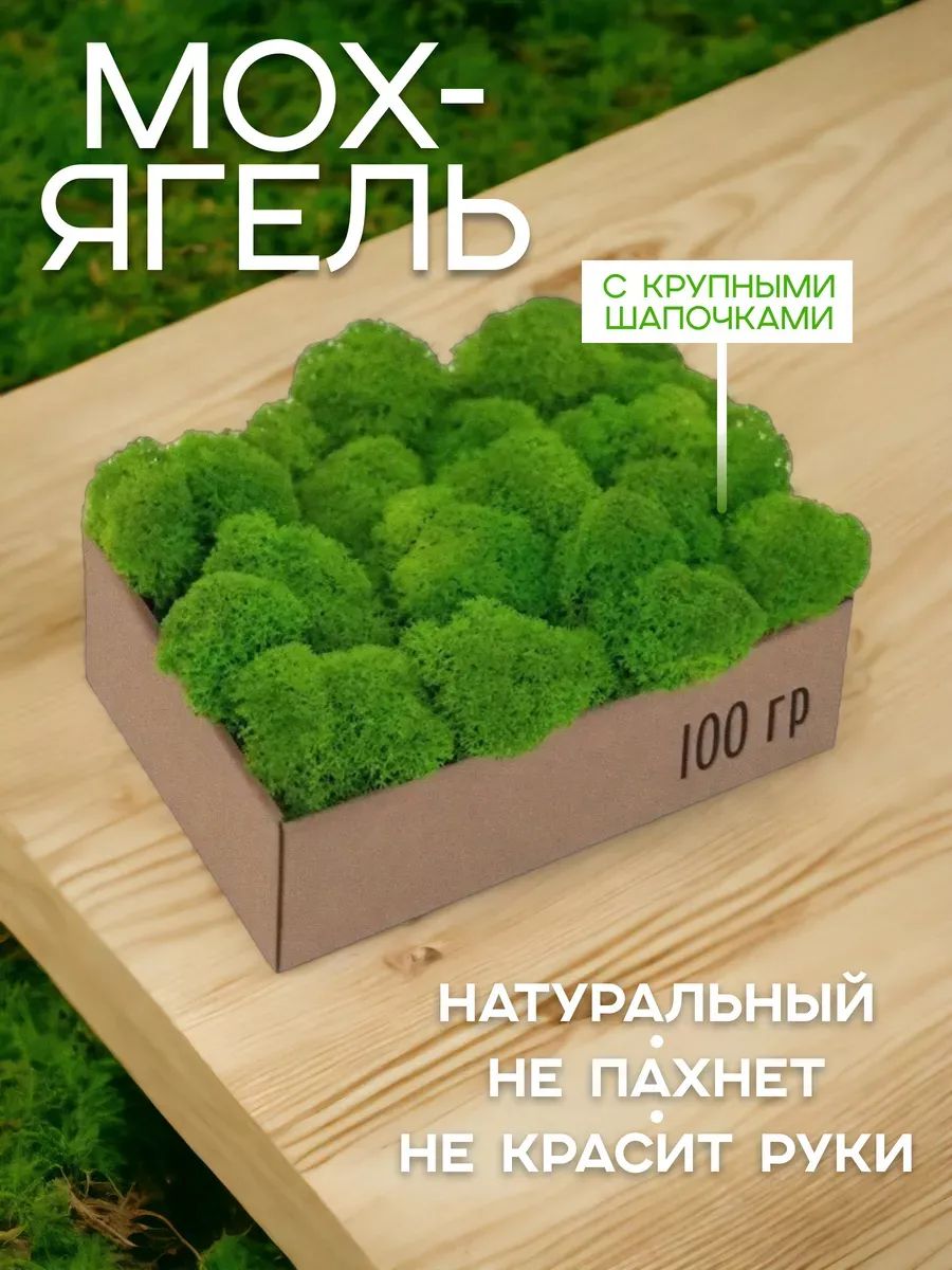 Мох пушистый для меню-борда подложка зерна кофе 500гр мох