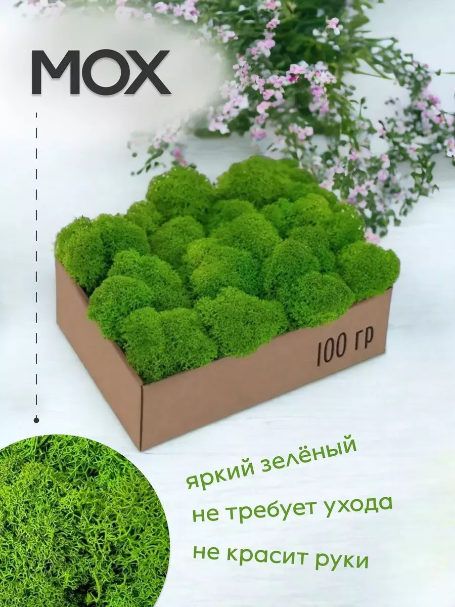 Мох усовершенствованный для лекционной педагогу 100гр мох