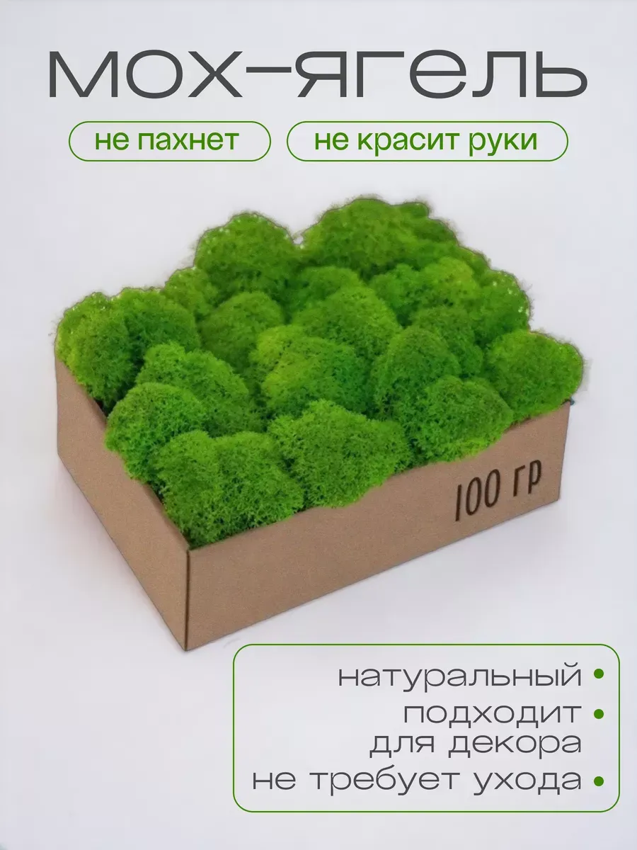 Мох стабилизированный для винного сырной лавки задник 100гр
