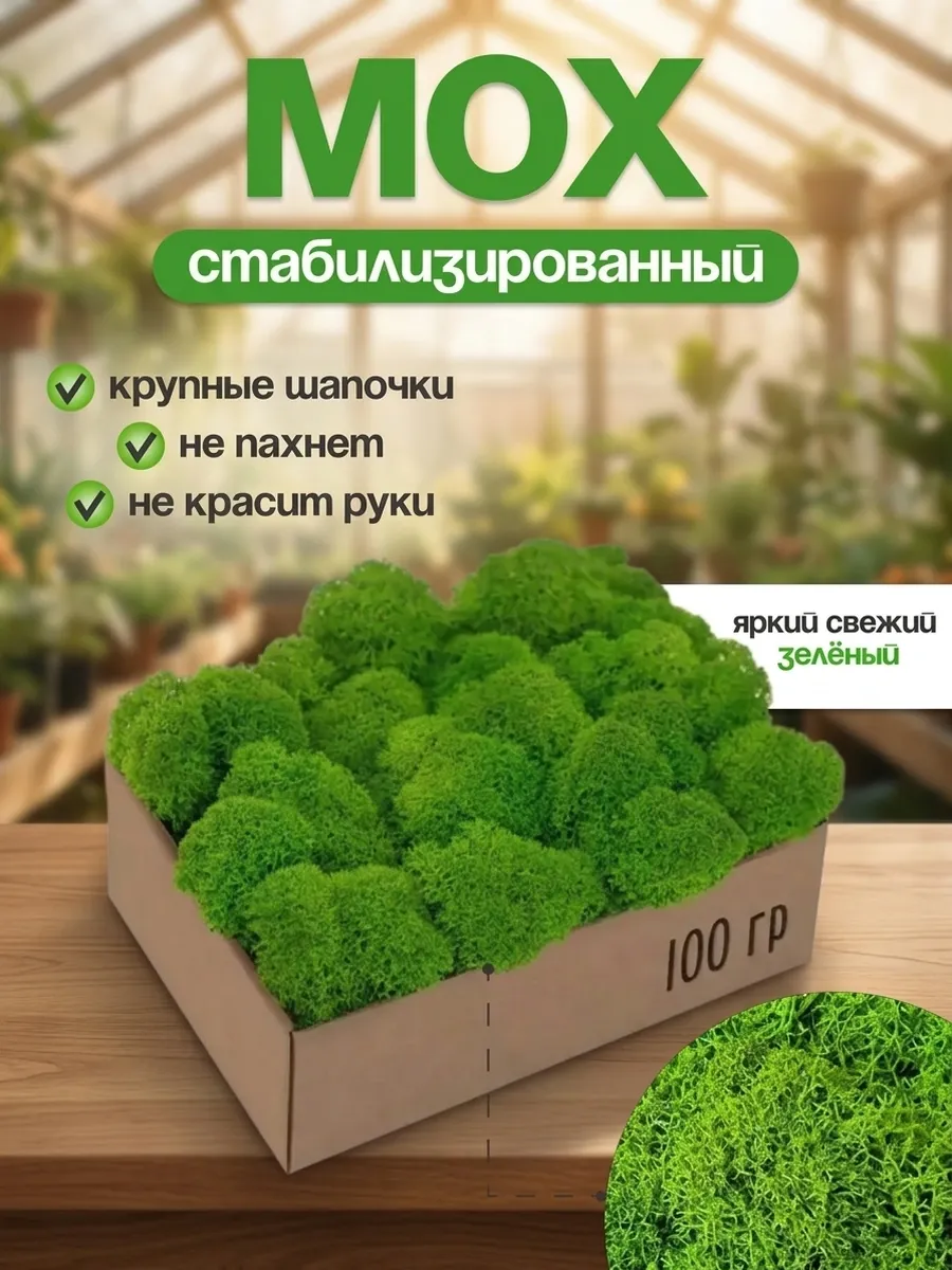 Ягель стабилизированный 100 г свежий зелёный крупный
