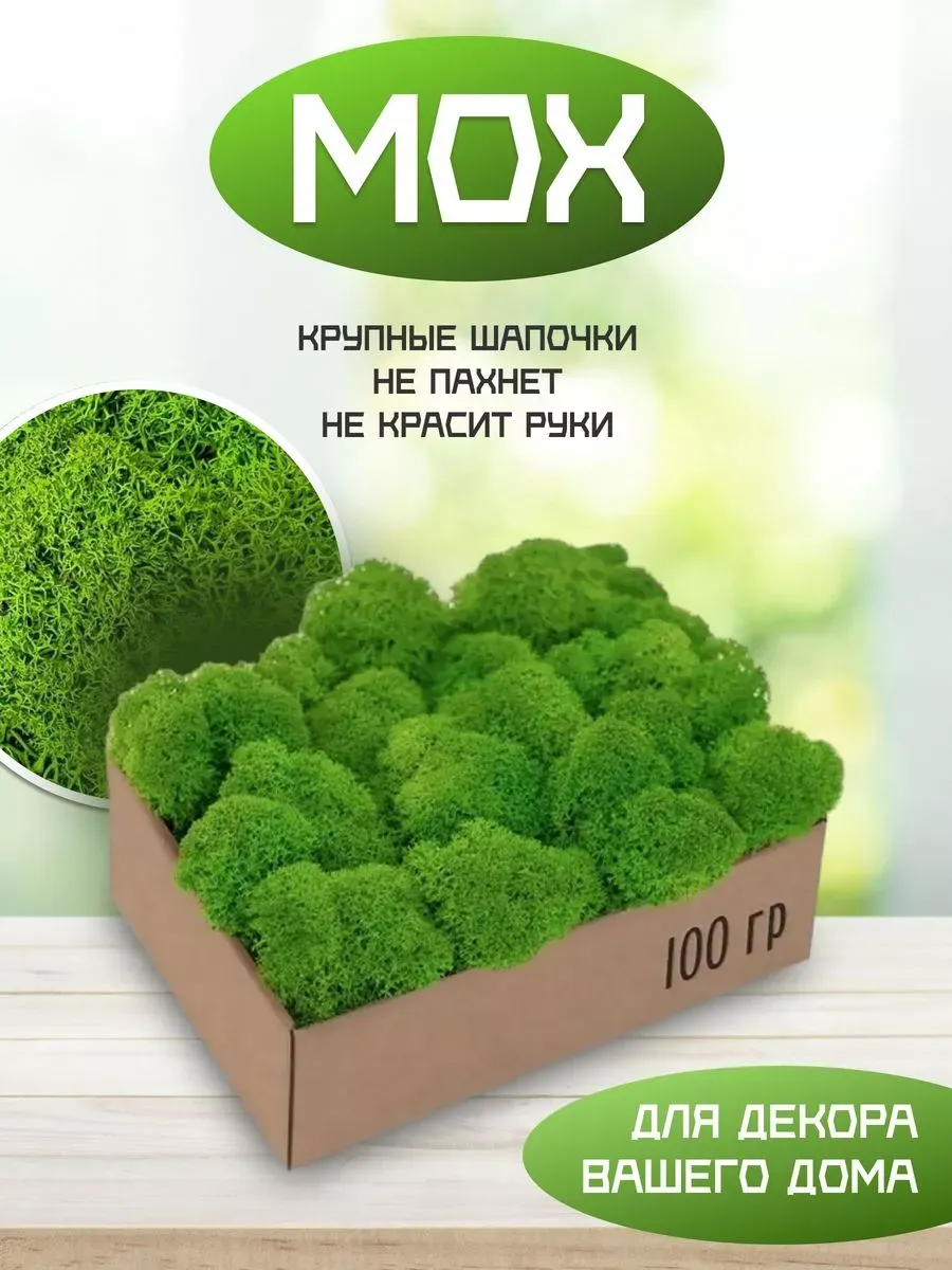 Мох для обустройства озеленения террариума, аквариума 100гр