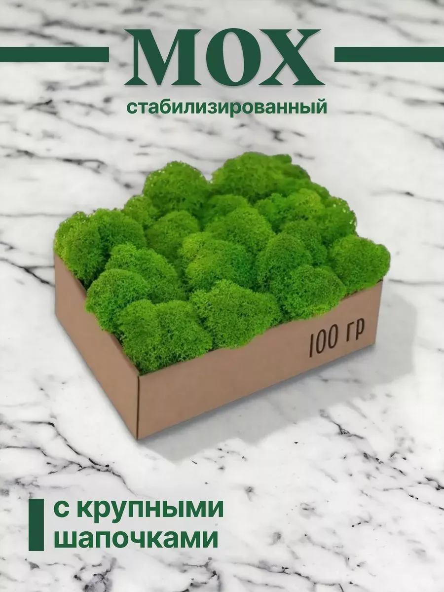 Мох сохраненный для экоупаковки кочковый материал 500гр