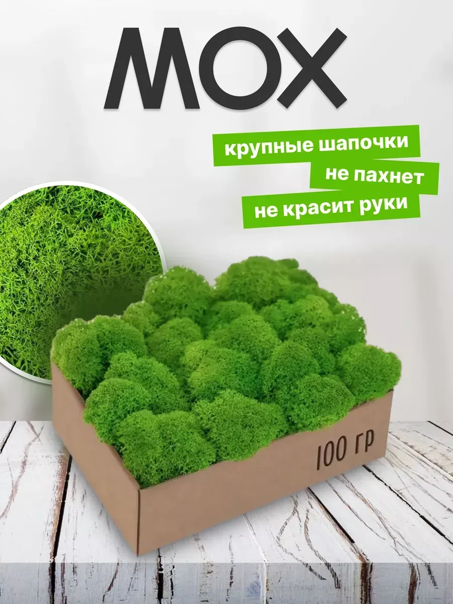 Мох многофункциональный для у окна гейминга фотографу 100гр
