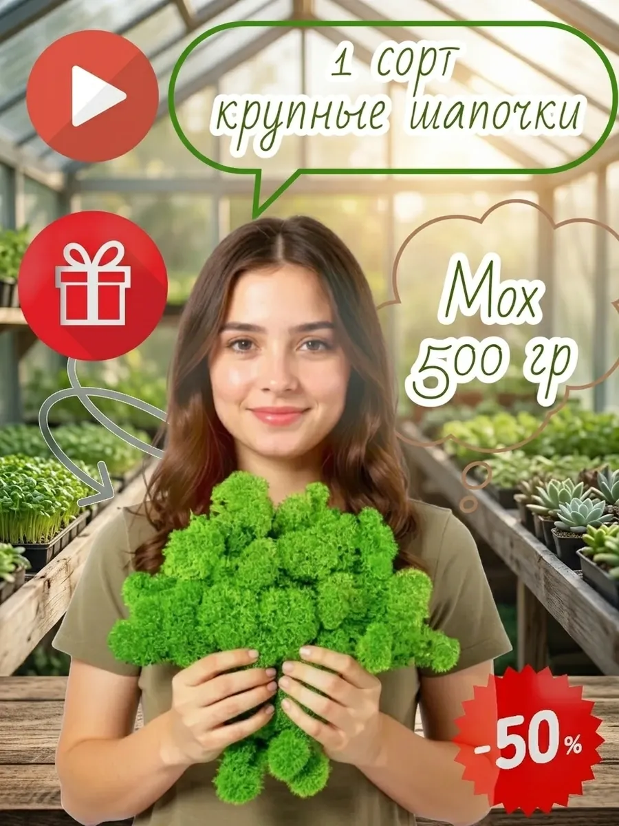 Мох стабилизированный долголетний без ухода 500 г