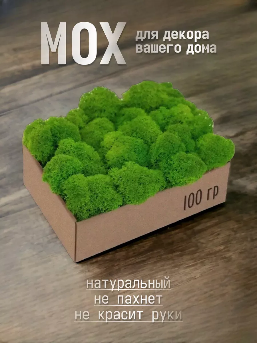 Мох пропитанный для угла у окна гейминга разработчику 100гр