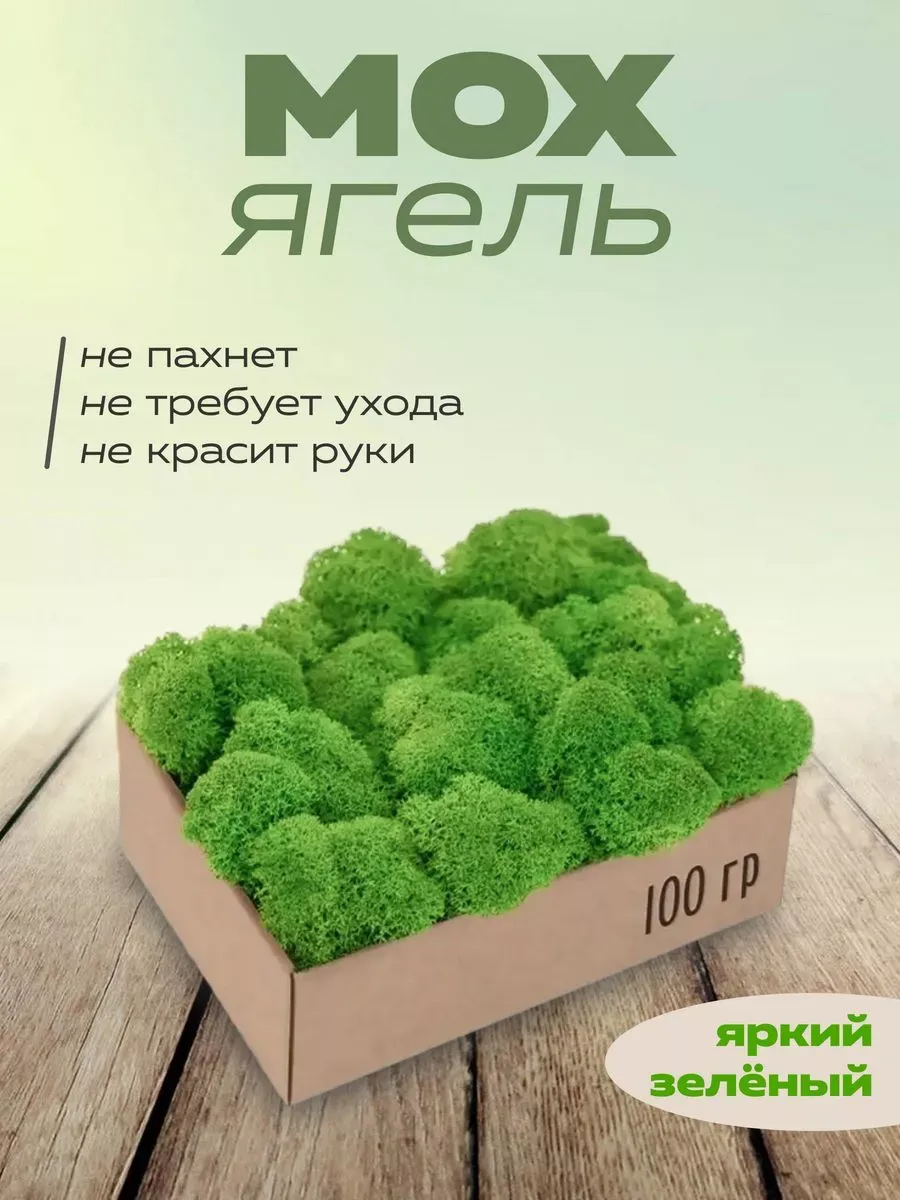 Мох свежий для внутренней вывески корпорации фотозоны 100гр