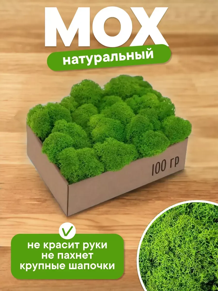 Мох свежий для флориста-оформителя рукодельнице 100гр мох