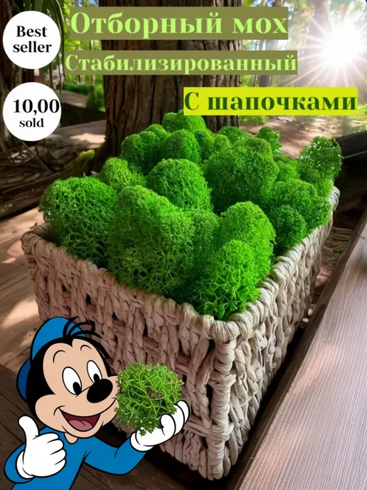 Декоративный мох на стену картина Мох стабилизированный ягель зелёный 100г для декора, 100 г, фото 5