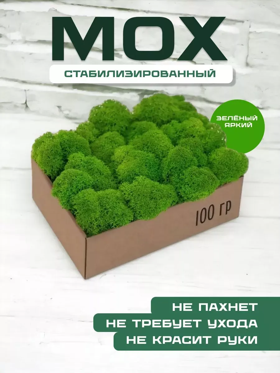 Мох обработанный для гастро-рынка кейтеринг 10кг фитодизайн