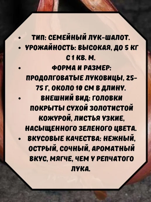 Professor Green Лук шалот (желтый) Сорокозубка 0,5 кг на посадку, 500 г, фото 2