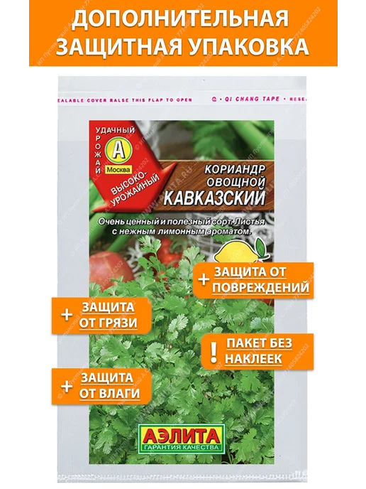 Семена кориандр овощной для сада дачи посадки, вариант, фото 2