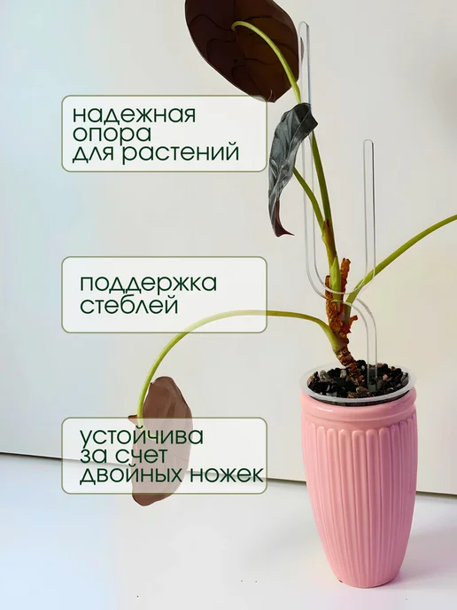 3-Тонн Опора подвязка для комнатных растений и цветов, 3 шт, в упаковке 200 г, фото 2