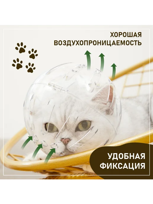 Намордник для кошек и собак ветеринарный шлем, вариант, фото 3