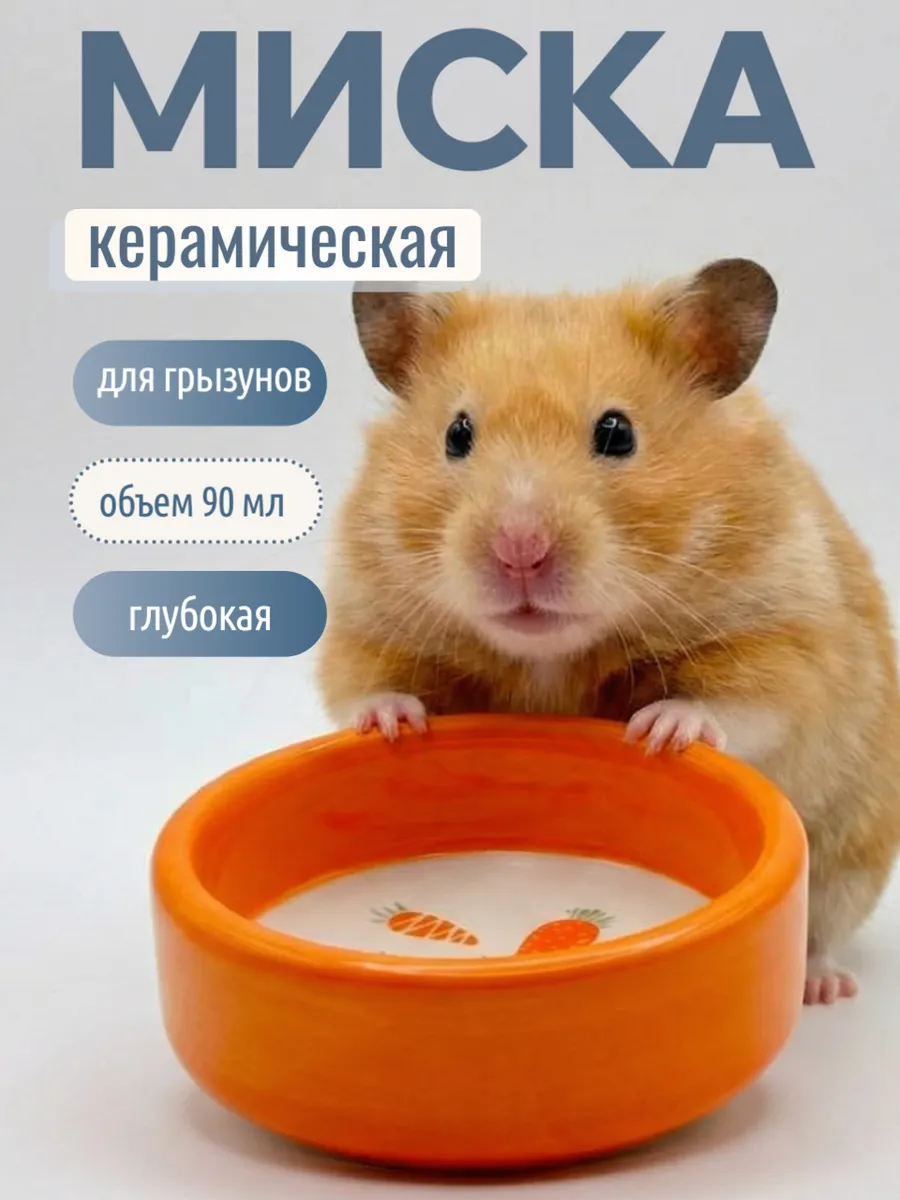 Миска для грызунов керамическая, хомяка и кролика