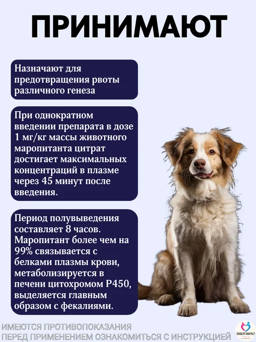 apicenna Средство противорвотное для собак и кошек Маропиталь 10 мл, 10 мл, фото 2