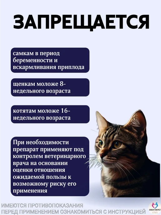 apicenna Средство противорвотное для собак и кошек Маропиталь 10 мл, 10 мл, фото 4