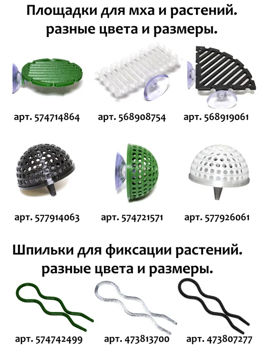 BestFish24 Стаурогина репенс меристемные растения, вариант, фото 3