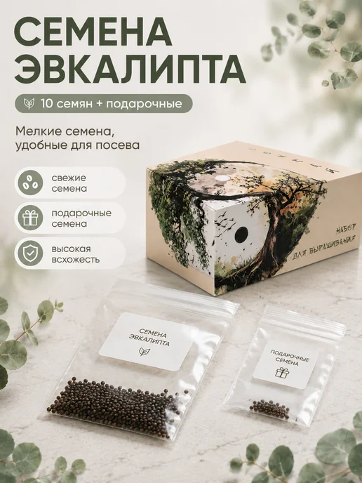 LWBW Набор для выращивания растений бонсай Эвкалипт Цинерия, вариант, фото 3