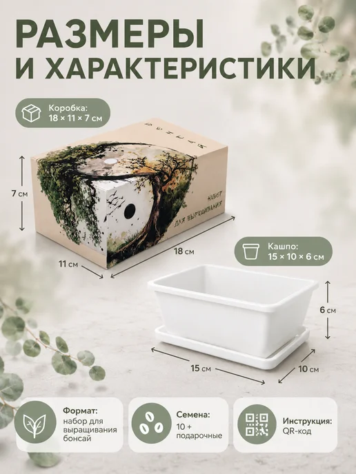 LWBW Набор для выращивания растений бонсай Эвкалипт Цинерия, вариант, фото 6