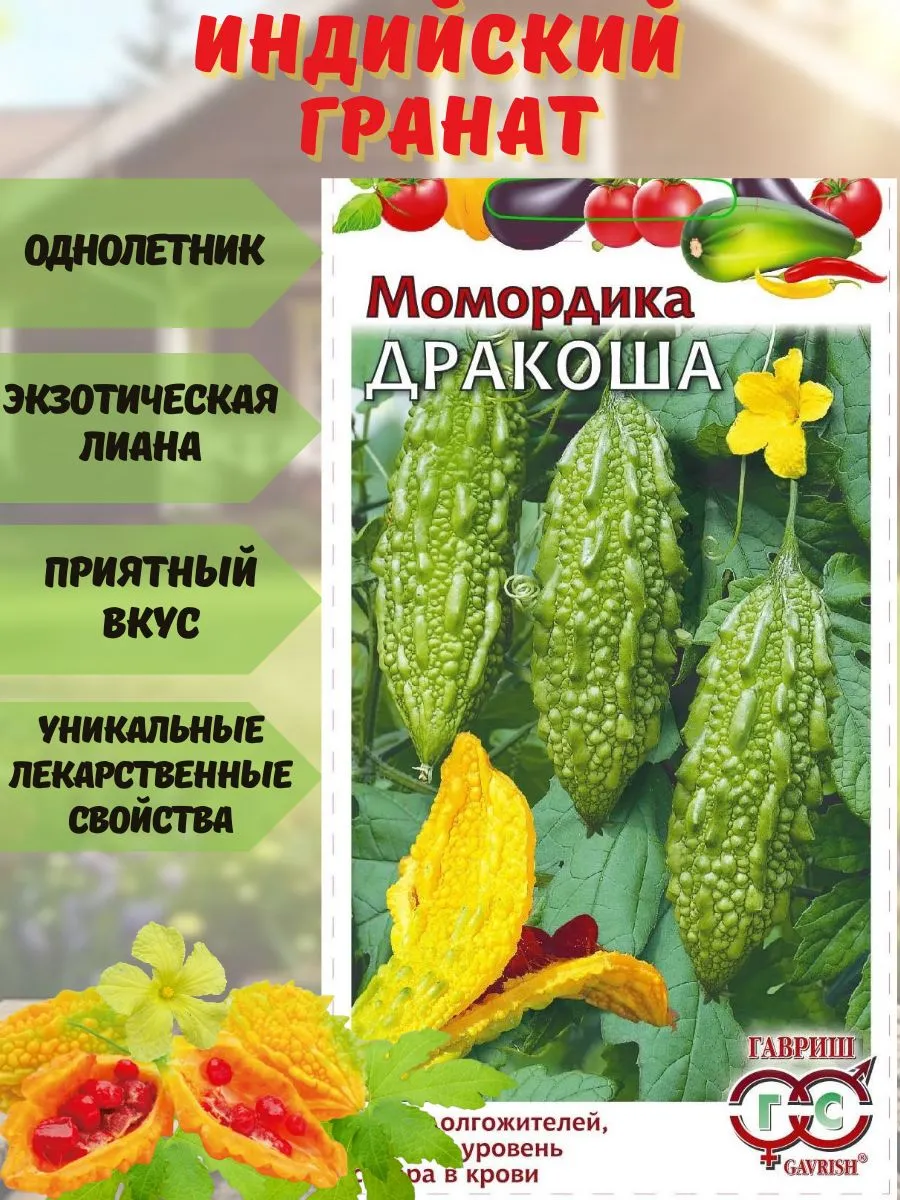 Момордика Дракоша (индийский гранат)
