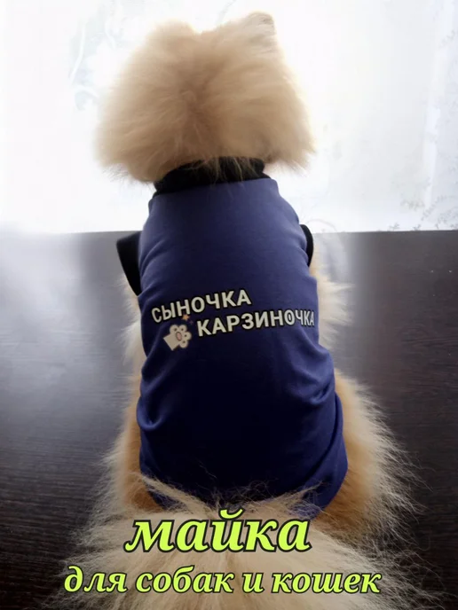 Майка для собак мелких средних пород для кошек, синий, фото 2
