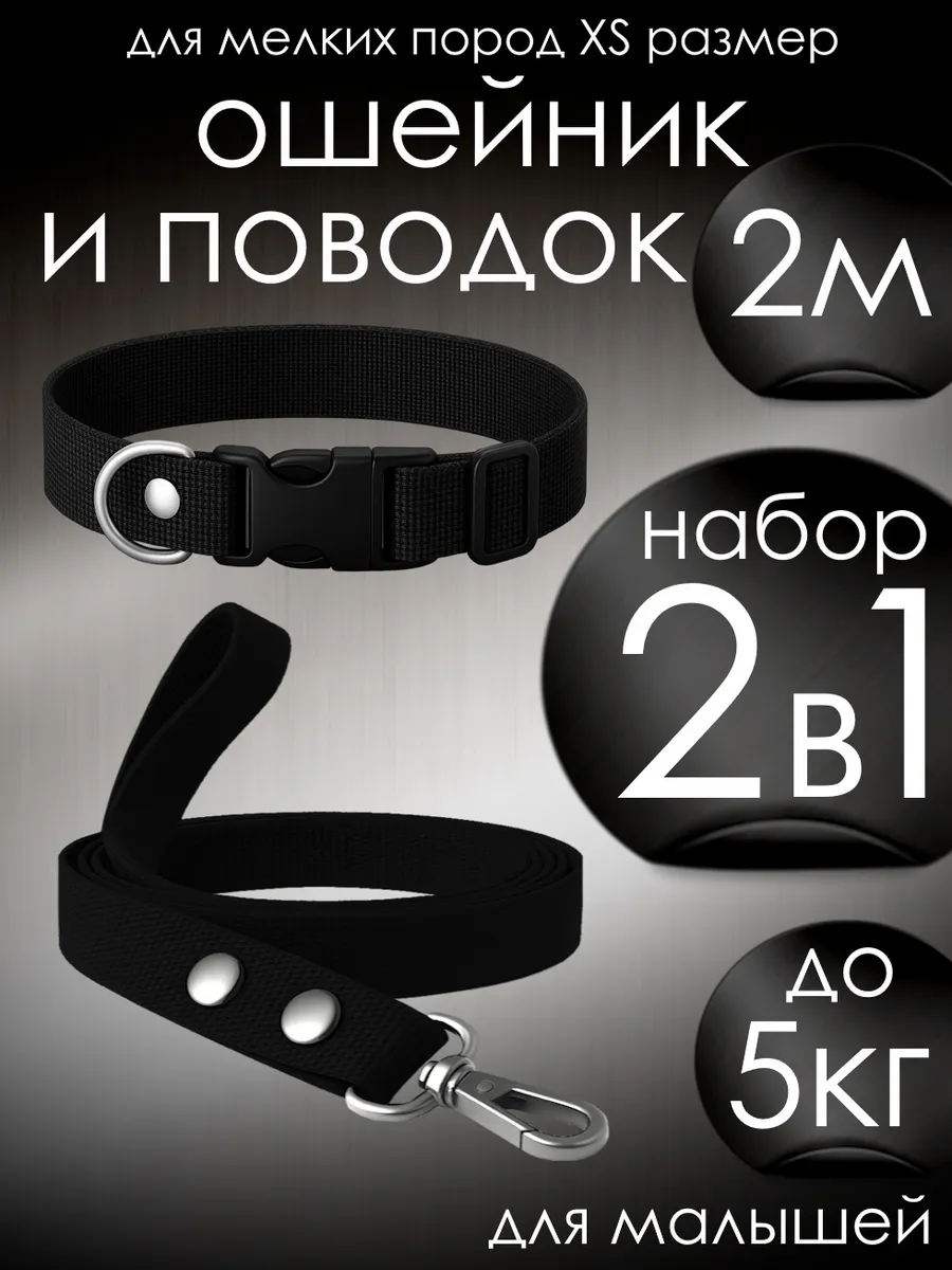 Ошейник и поводок для собак мелких пород и кошек XS + 2м