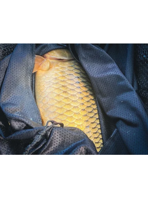 Carp Premium Карповый мешок на молнии Черный Карп Премиум, зеленый, фото 8