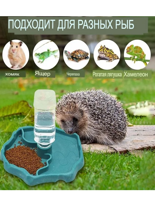Кормушка поилка для рептилий и черепах в террариум, вариант, фото 7