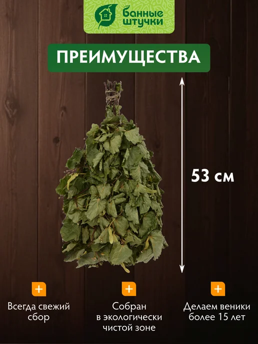 Банные Штучки Веник для бани и сауны липовый, вариант, фото 5