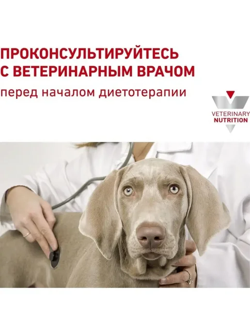 Сухой корм Royal canin Hepatic Болезни для собак, взрослые, пожилые, 6 кг, фото 4