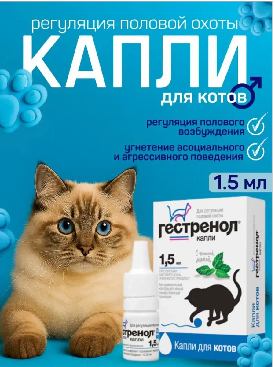 Секс Контроль Капли Для Котов Сколько Каплей Секс Контроль Капли Для Котов Сколько Каплей