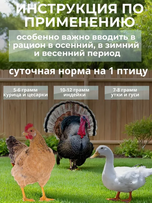Ракушка для курей 10 кг, 10 кг, фото 3