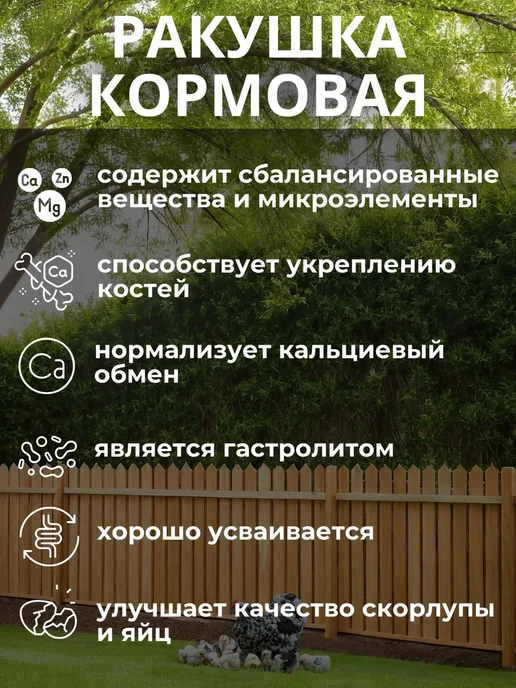 Ракушка для курей 10 кг, 10 кг, фото 4