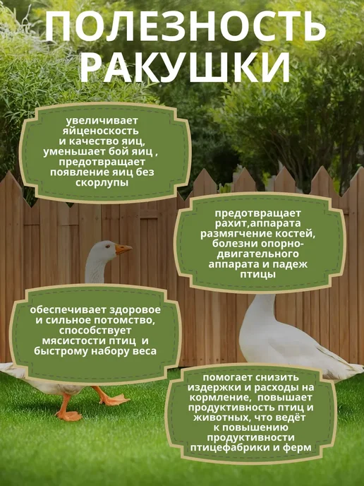 Ракушка для курей 10 кг, 10 кг, фото 5