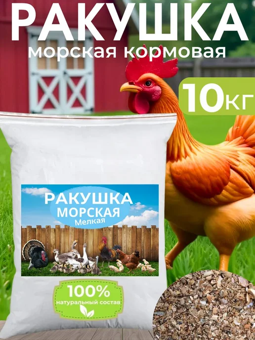 Ракушка для курей 10 кг, 10 кг, фото 6