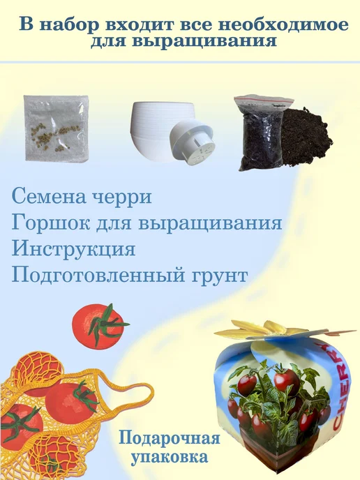 Набор для выращивания Адениум, вариант, фото 2