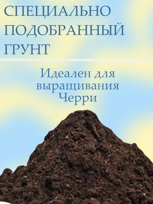 Набор для выращивания Адениум, вариант, фото 3