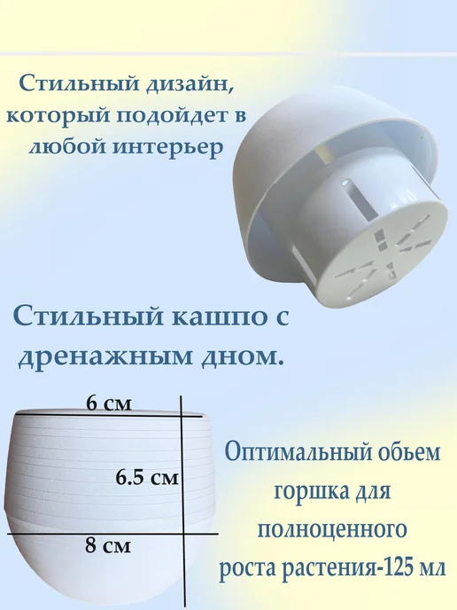 Набор для выращивания Адениум, вариант, фото 4