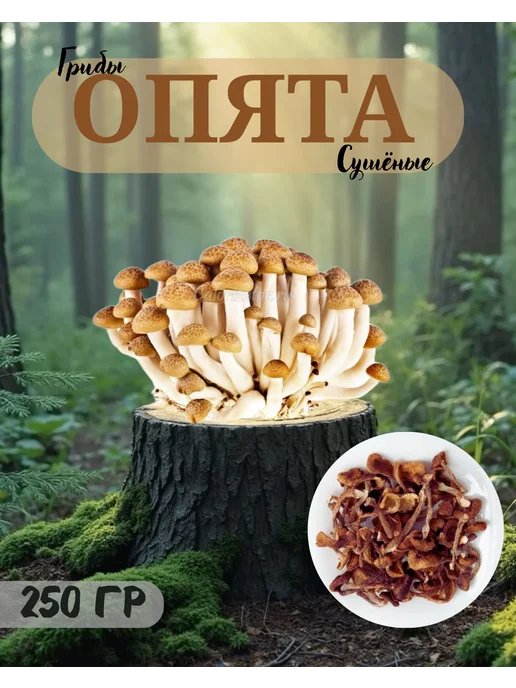 Грибы сушеные опята 250гр, 250 г