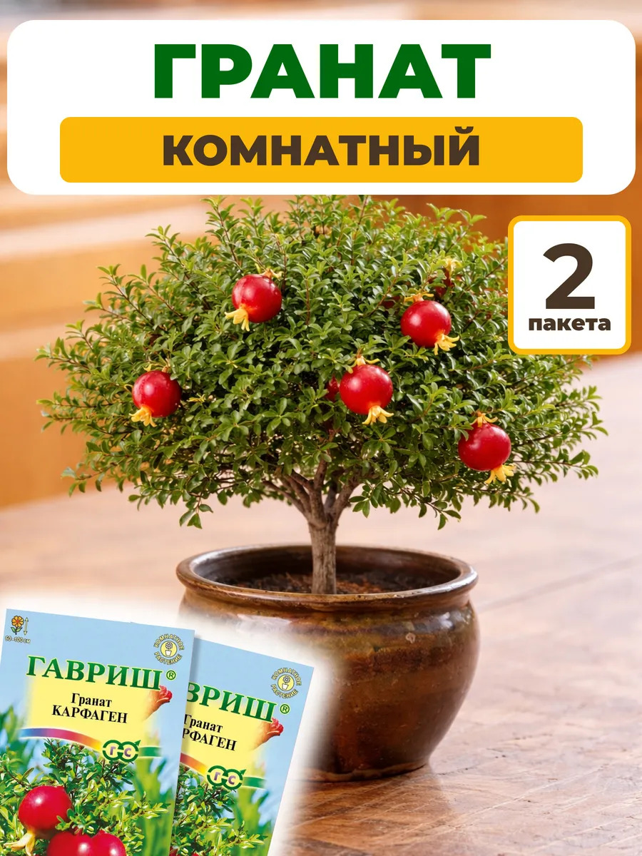 Гранат семена комнатных цветов