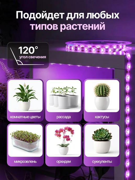 Host Фитолента для растений полного спектра фитолампа 40 Вт, 40 Вт, фото 2