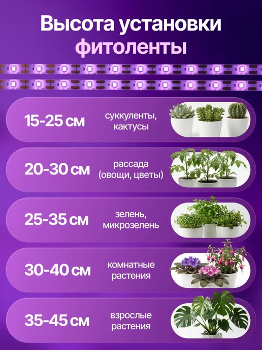 Host Фитолента для растений полного спектра фитолампа 40 Вт, 40 Вт, фото 5