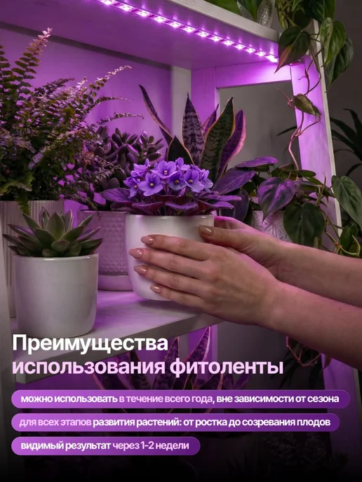Host Фитолента для растений полного спектра фитолампа 40 Вт, 40 Вт, фото 6