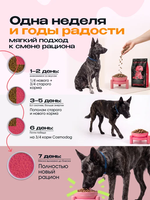 Сухой корм cosmodog Космодог для собак, пожилые, ягненок, 2 кг, фото 7