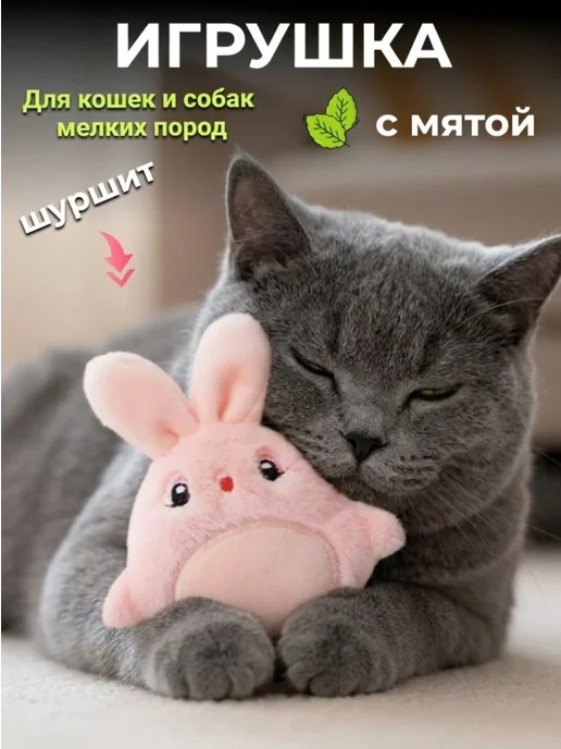 The best cat Игрушка для кошек и собак с мятой, розовый